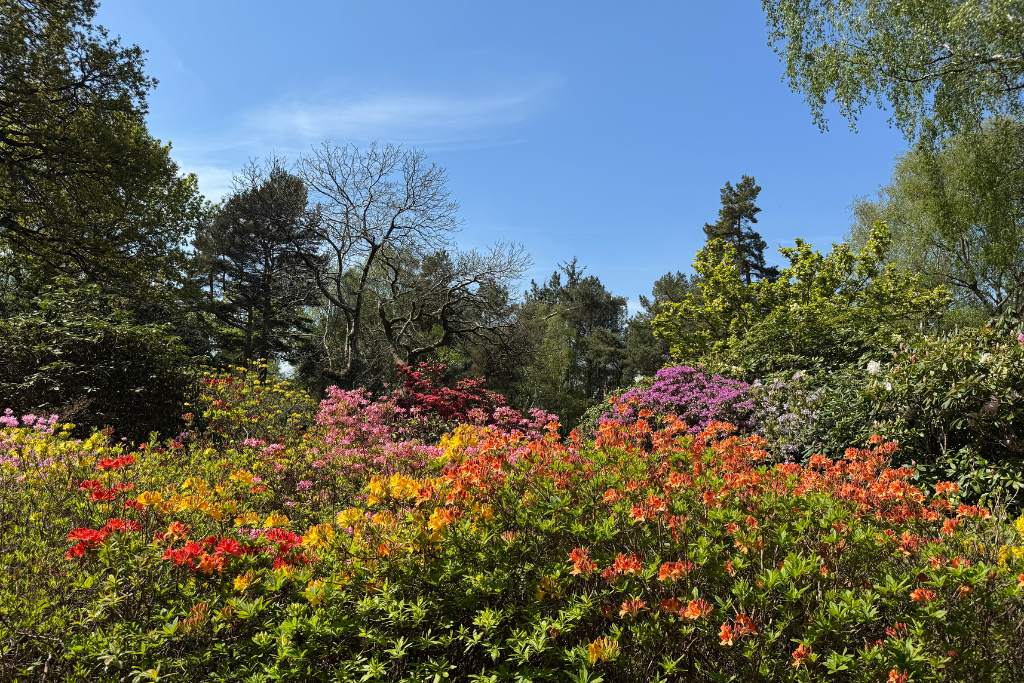 Image one about Lea Gardens
